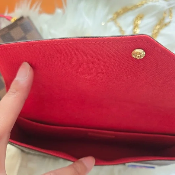 Louis Vuitton Damier Ebene My LV World Tour Pochette Felicia Crossbody Bag - Picture 5 of 5